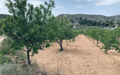 Land - Herverkoop -
            La Romana - 74461