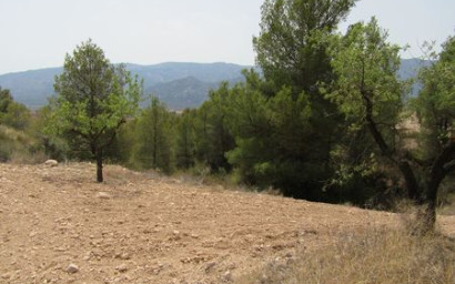 Land - Herverkoop -
            Murcia - 79720