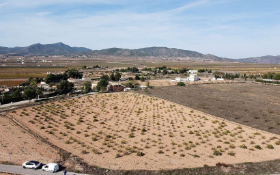 Land - Herverkoop - Pinoso - Pinoso