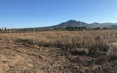 Land - Herverkoop - Salinas -
                Salinas