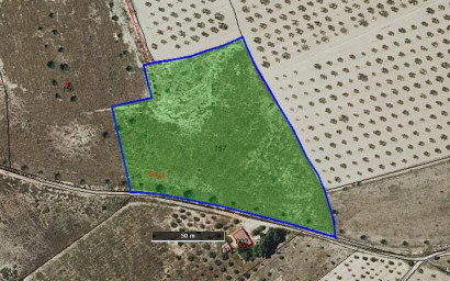 Land - Herverkoop - Salinas - Salinas