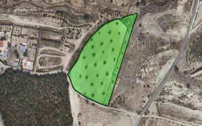 Land - Herverkoop - Sax - Sax