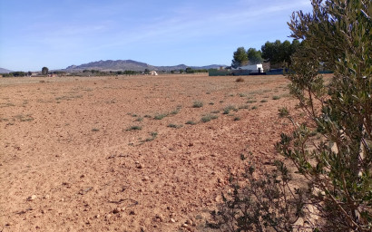 Land - Herverkoop -
            Yecla - AC015