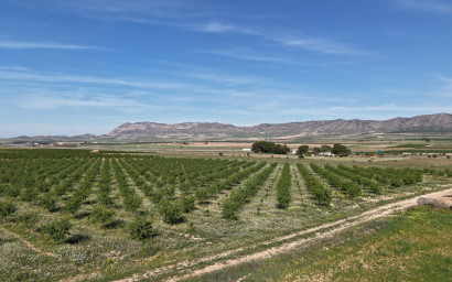 Land - Herverkoop - Yecla - Yecla Murcia