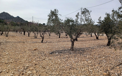 Land - Resale - La Romana -
                La Romana