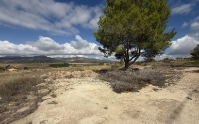 Land - Resale - Monovar -
                Monovar