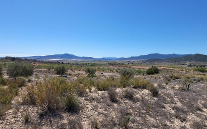 Land - Resale - Monovar - Monovar
