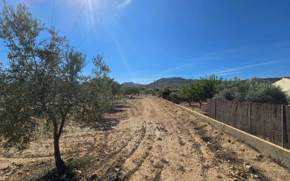 Land - Resale - Salinas -
                Salinas