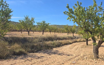 Land - Resale - Salinas -
                Salinas