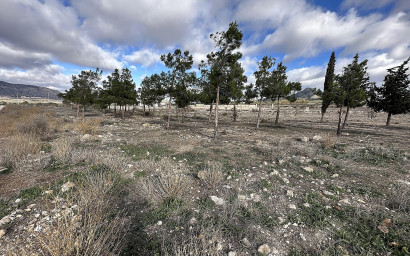 Land - Resale - Salinas - Salinas