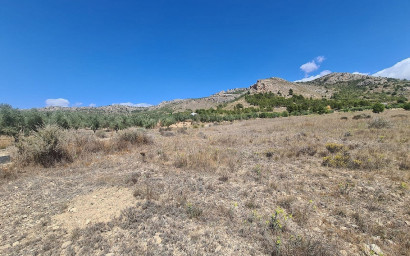 Land - Resale -
            Sax - 69945