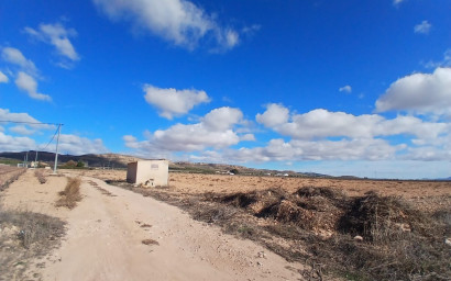 Land - Resale - Yecla -
                Yecla