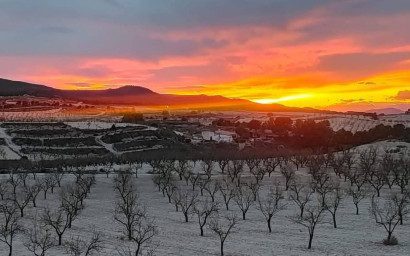 Maison de campagne - Revente - La Zarza - La Zarza
