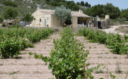 Maison de campagne - Revente - Yecla - Yecla