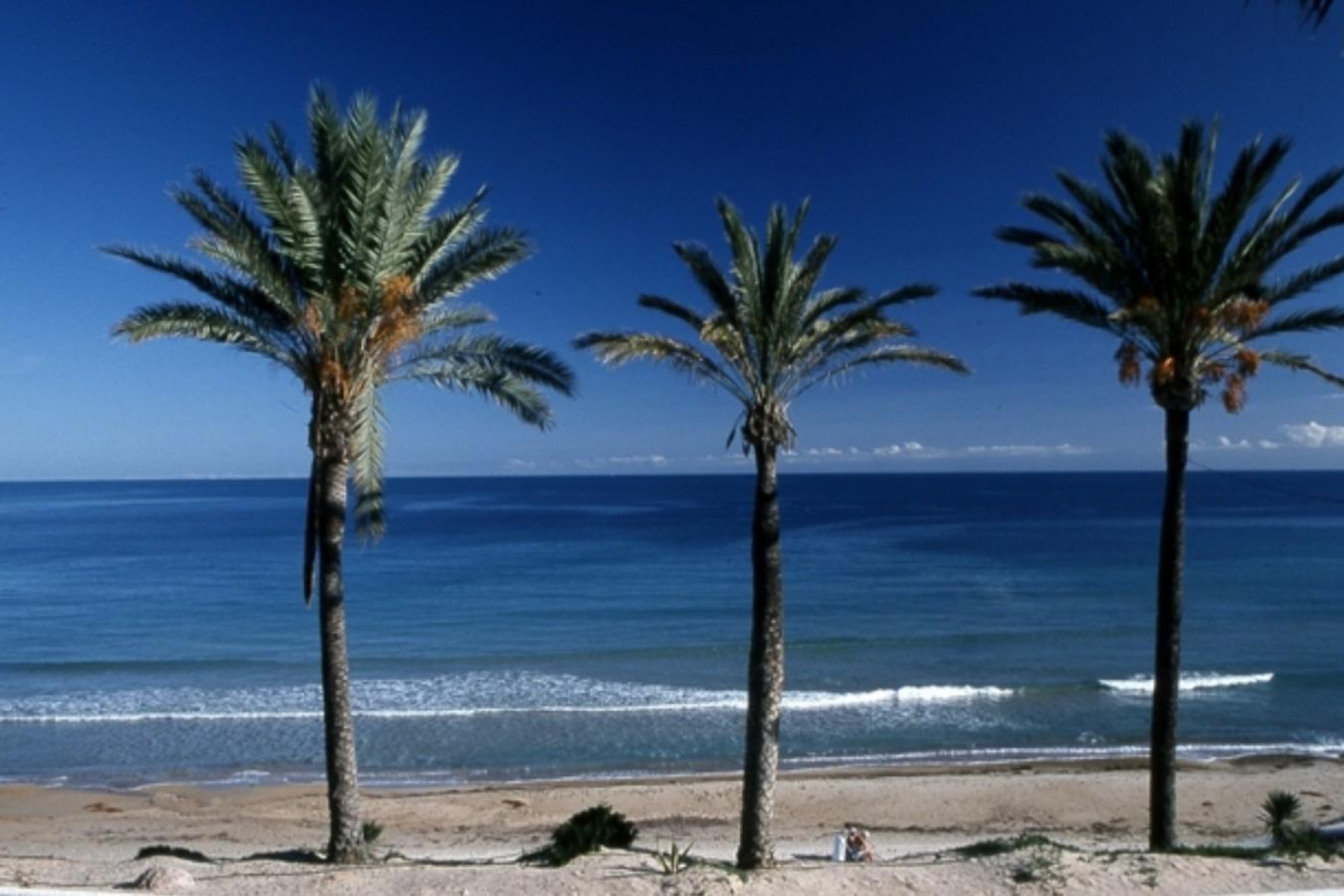 New Build - Apartment -
Pilar de la Horadada - Parque Ramon eugenio Escudero