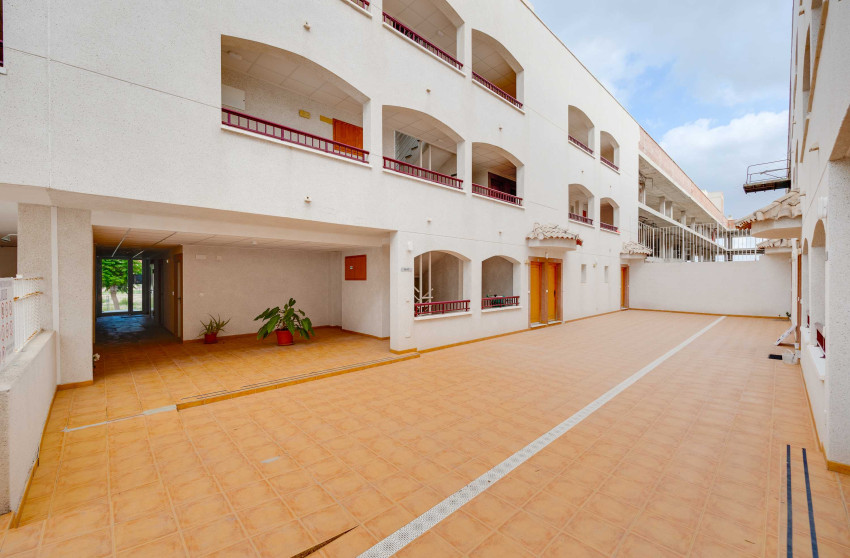 New Build - Apartment -
San Fulgencio
