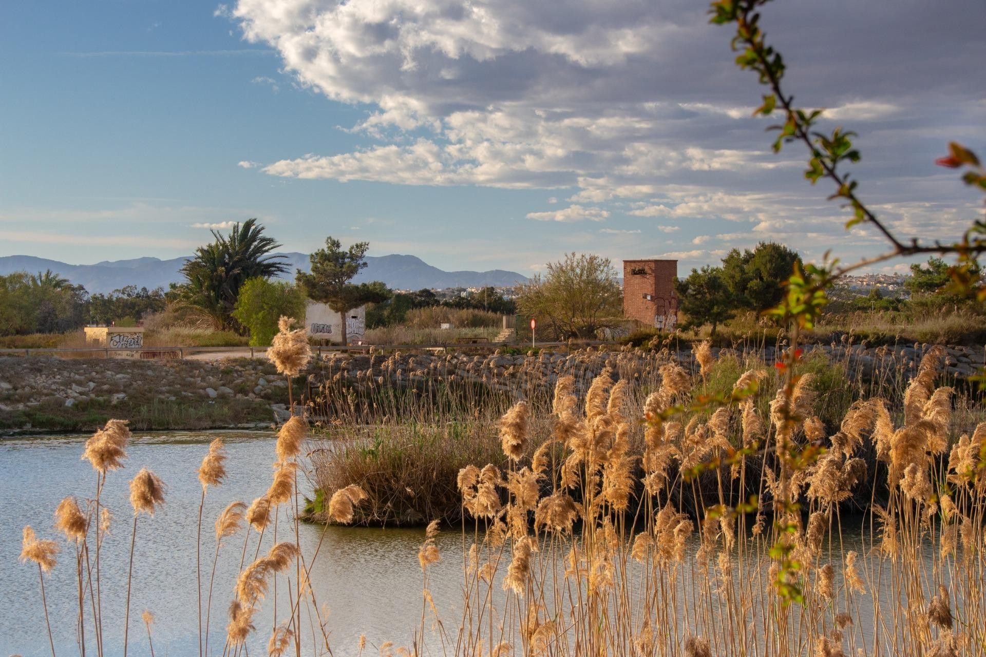 New Build - Bungalow -
Guardamar del Segura