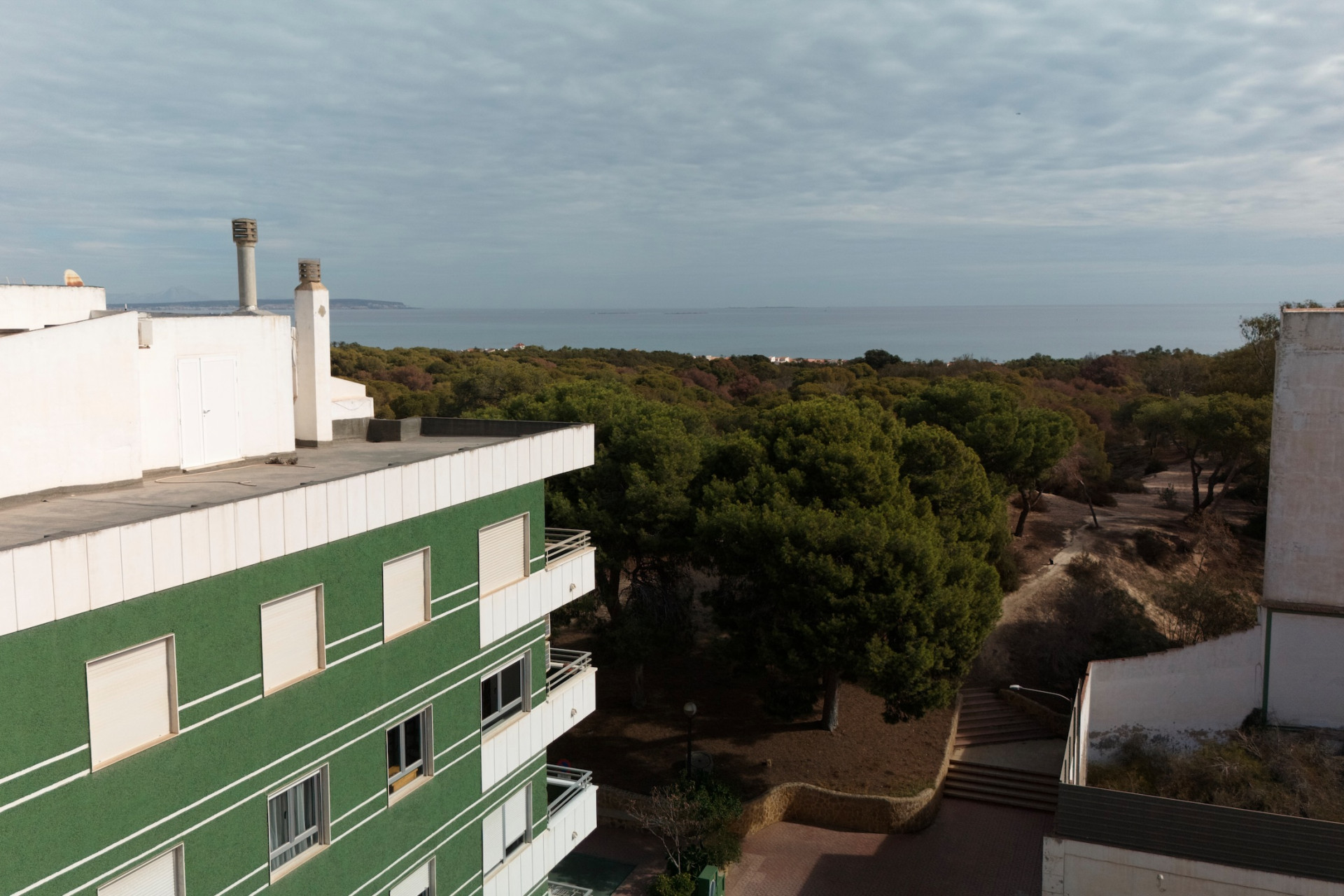 New Build - ground-floor -
Guardamar del Segura