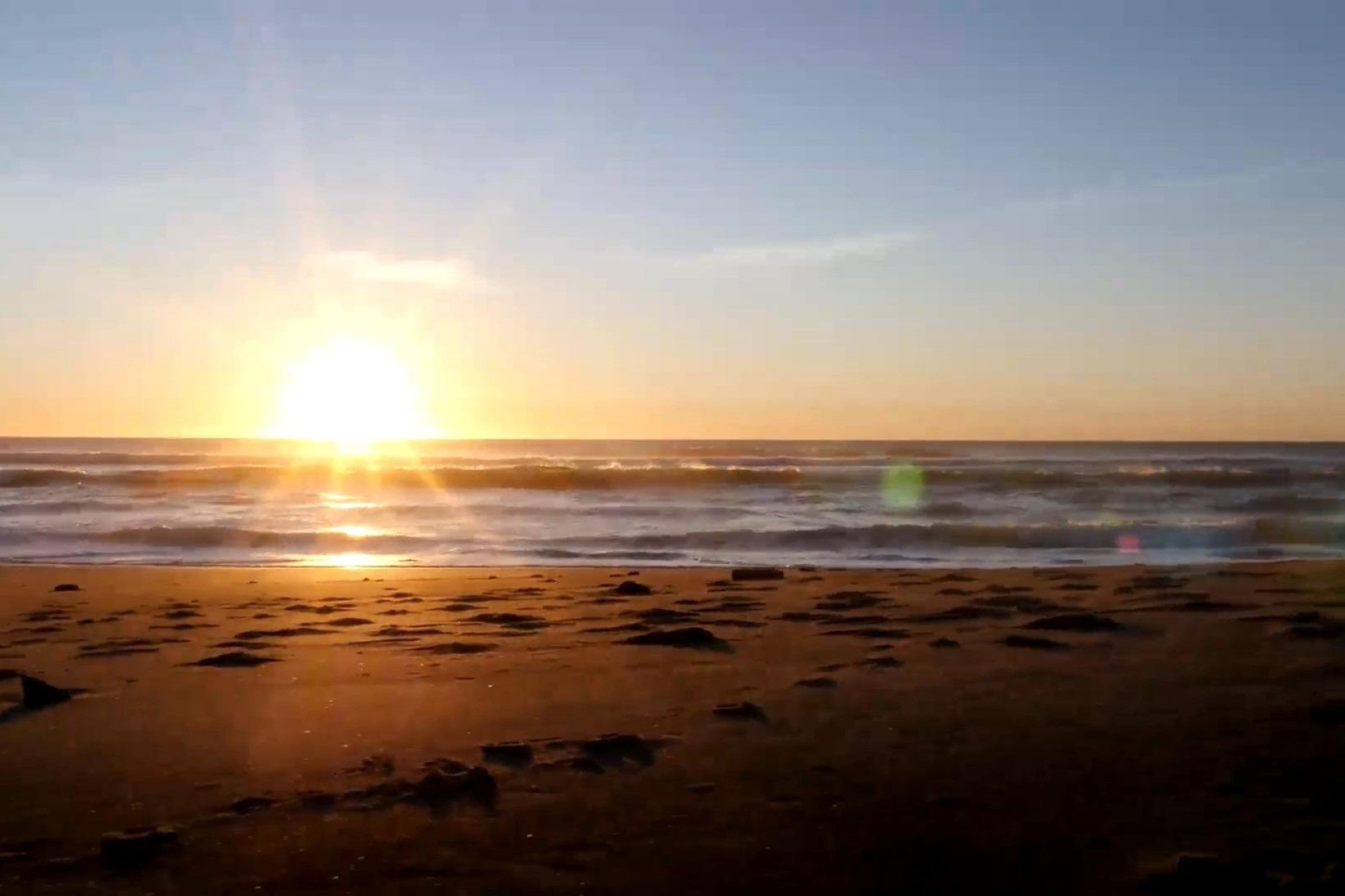 New Build - studio -
Torrevieja - Centro