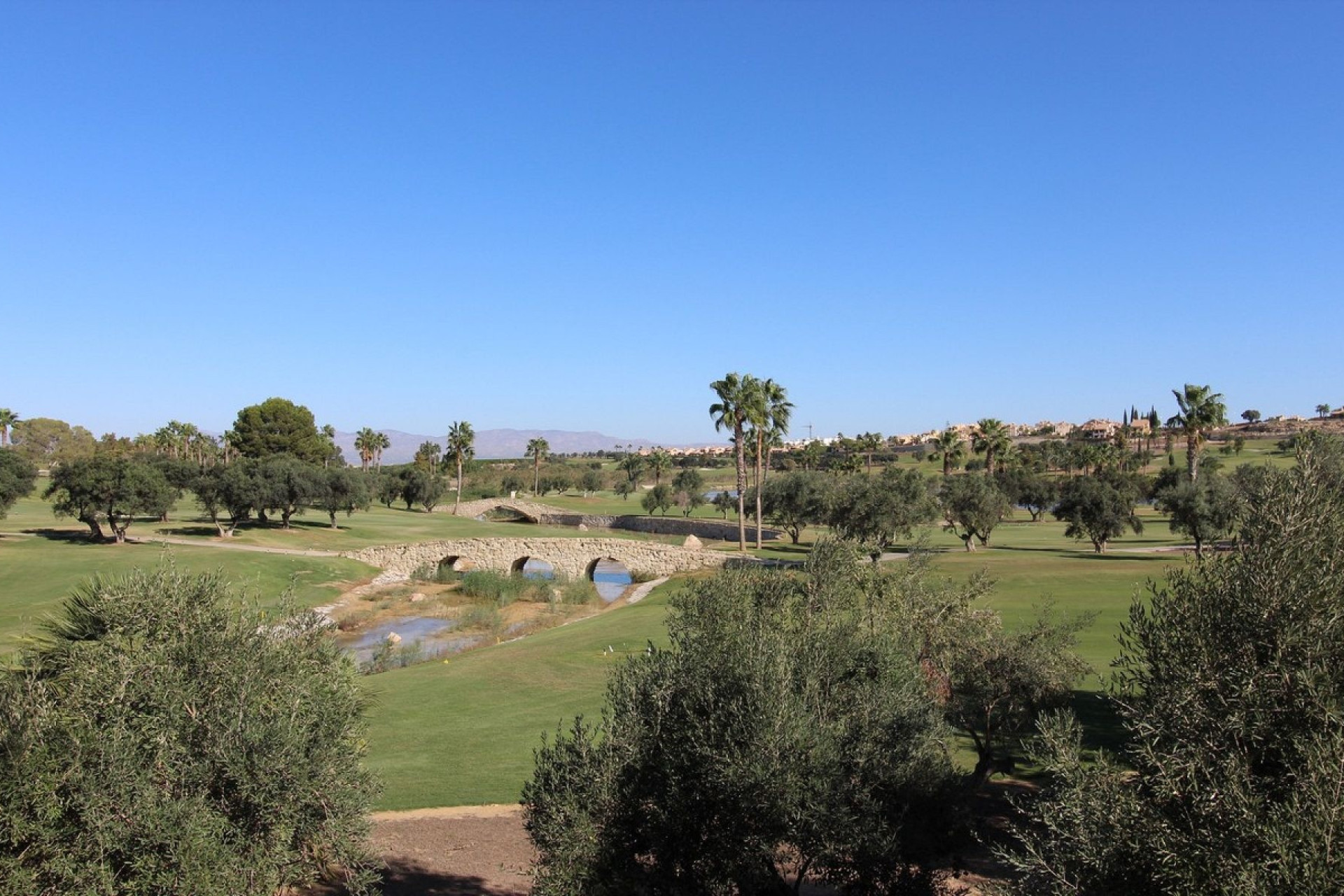 New Build - Villa -
Algorfa