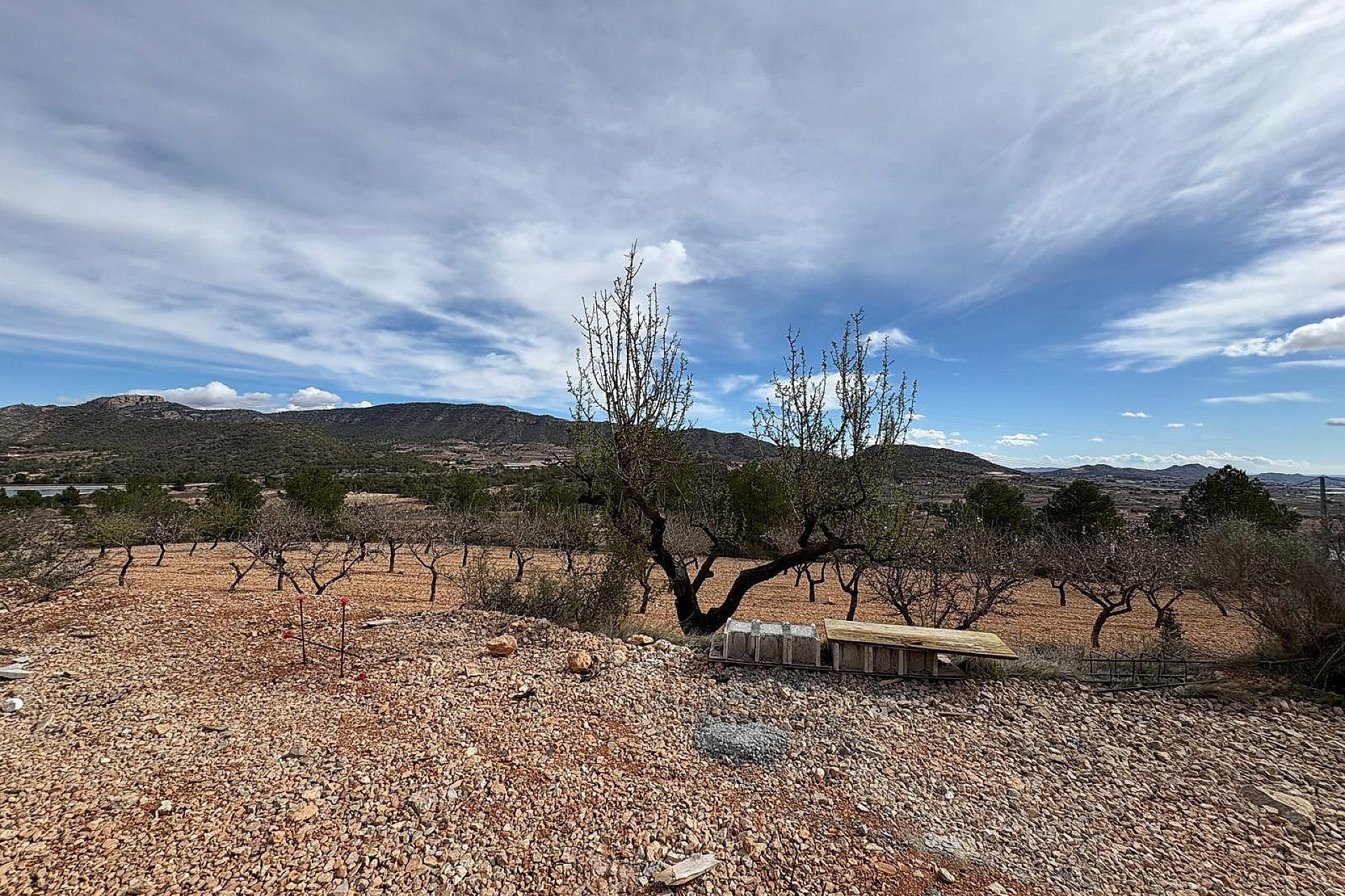 New Build - Villa -
La Romana