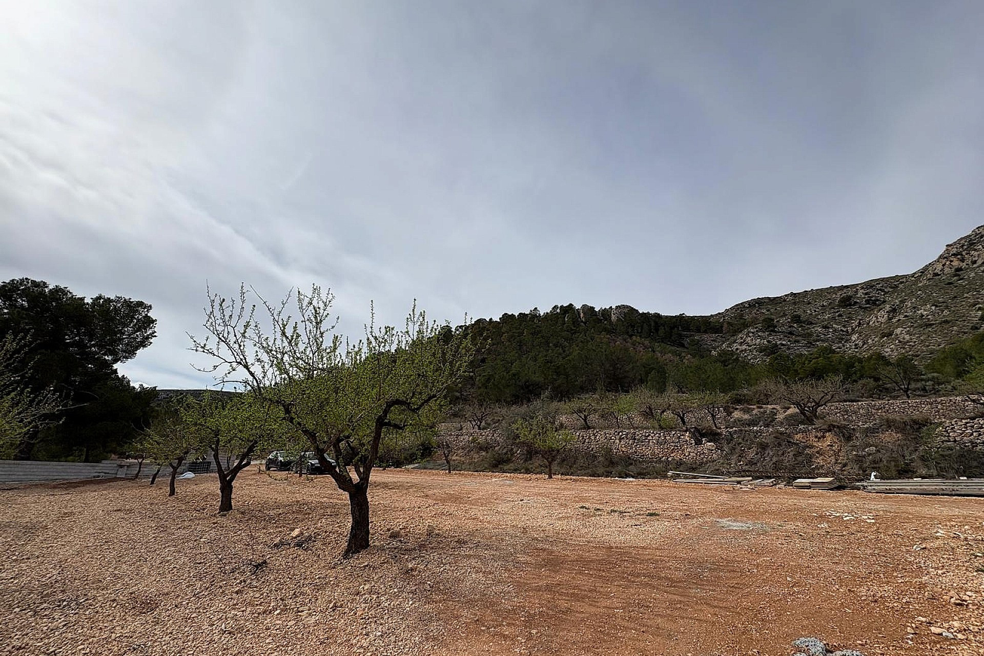 New Build - Villa -
La Romana