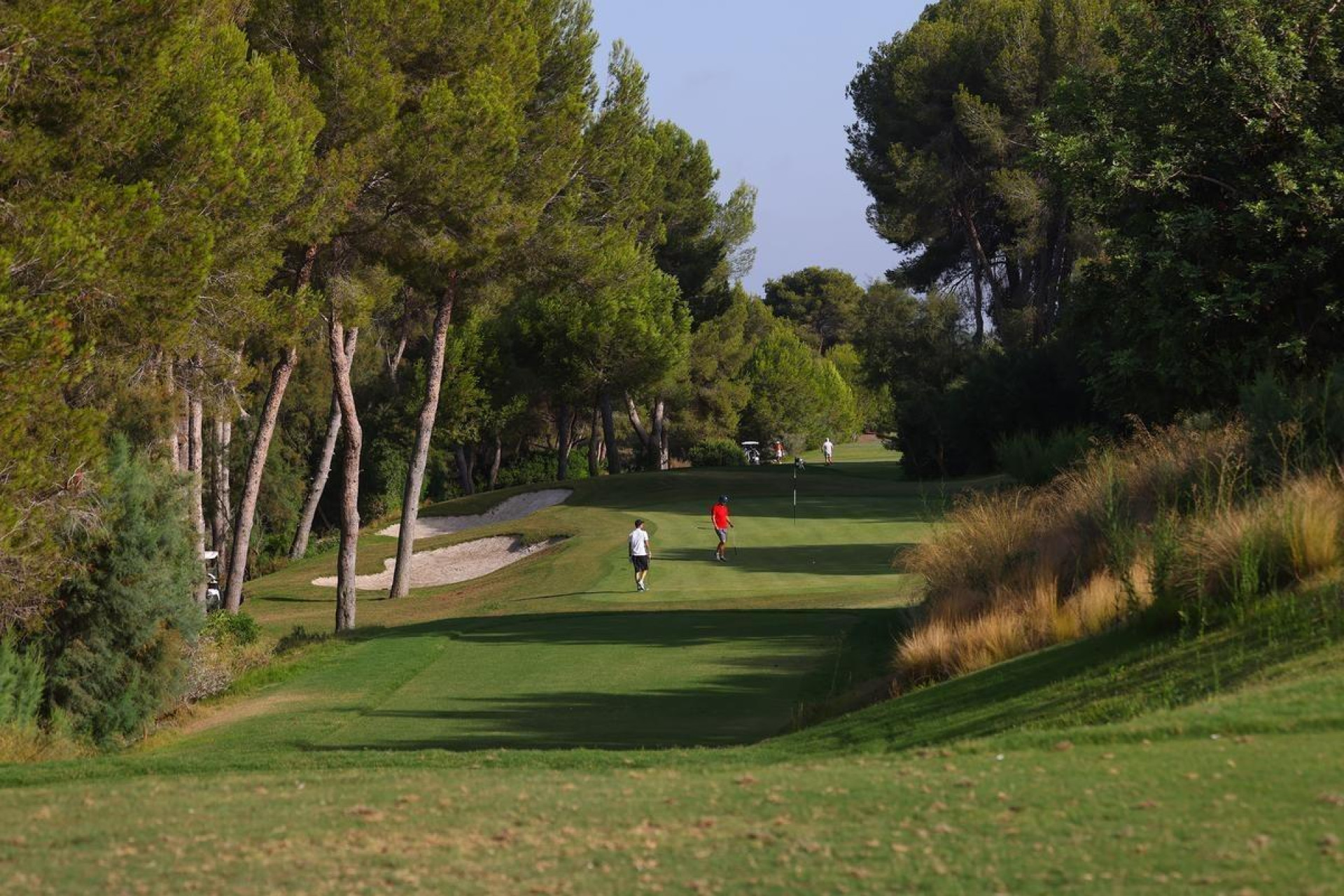 New Build - Villa -
Orihuela Costa - Las Colinas Golf