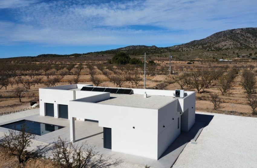 New Build - Villa -
Pinoso - Campo