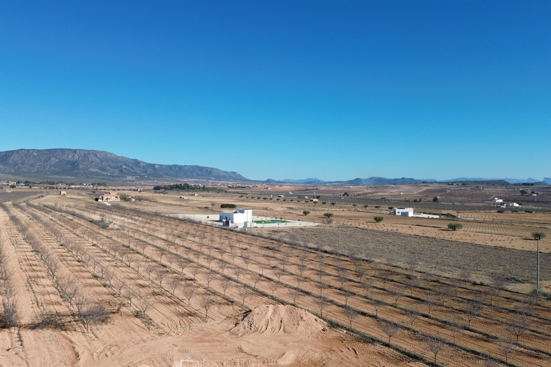 New Build - Villa -
Pinoso