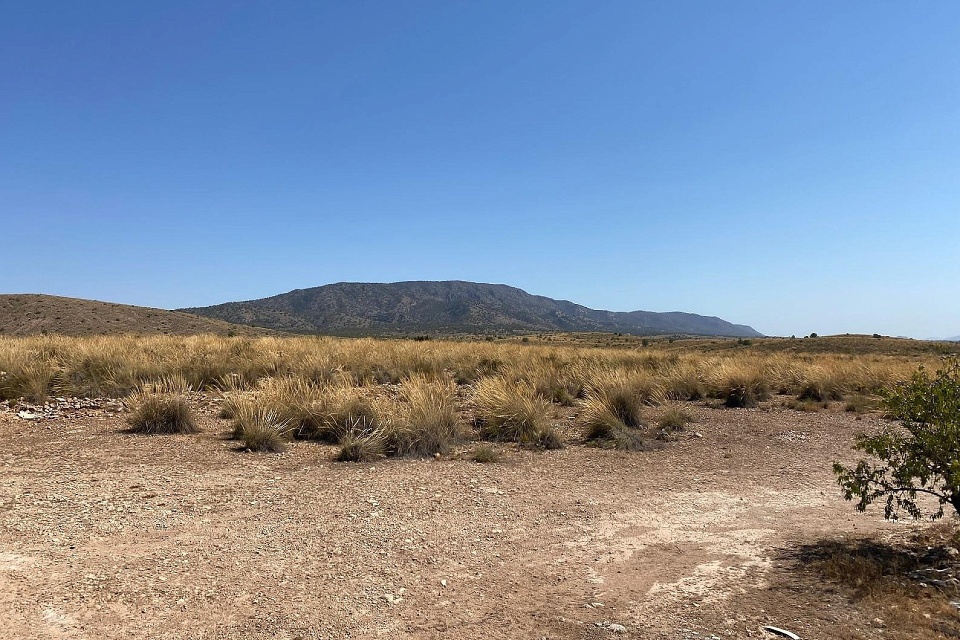 New Build - Villa -
Pinoso