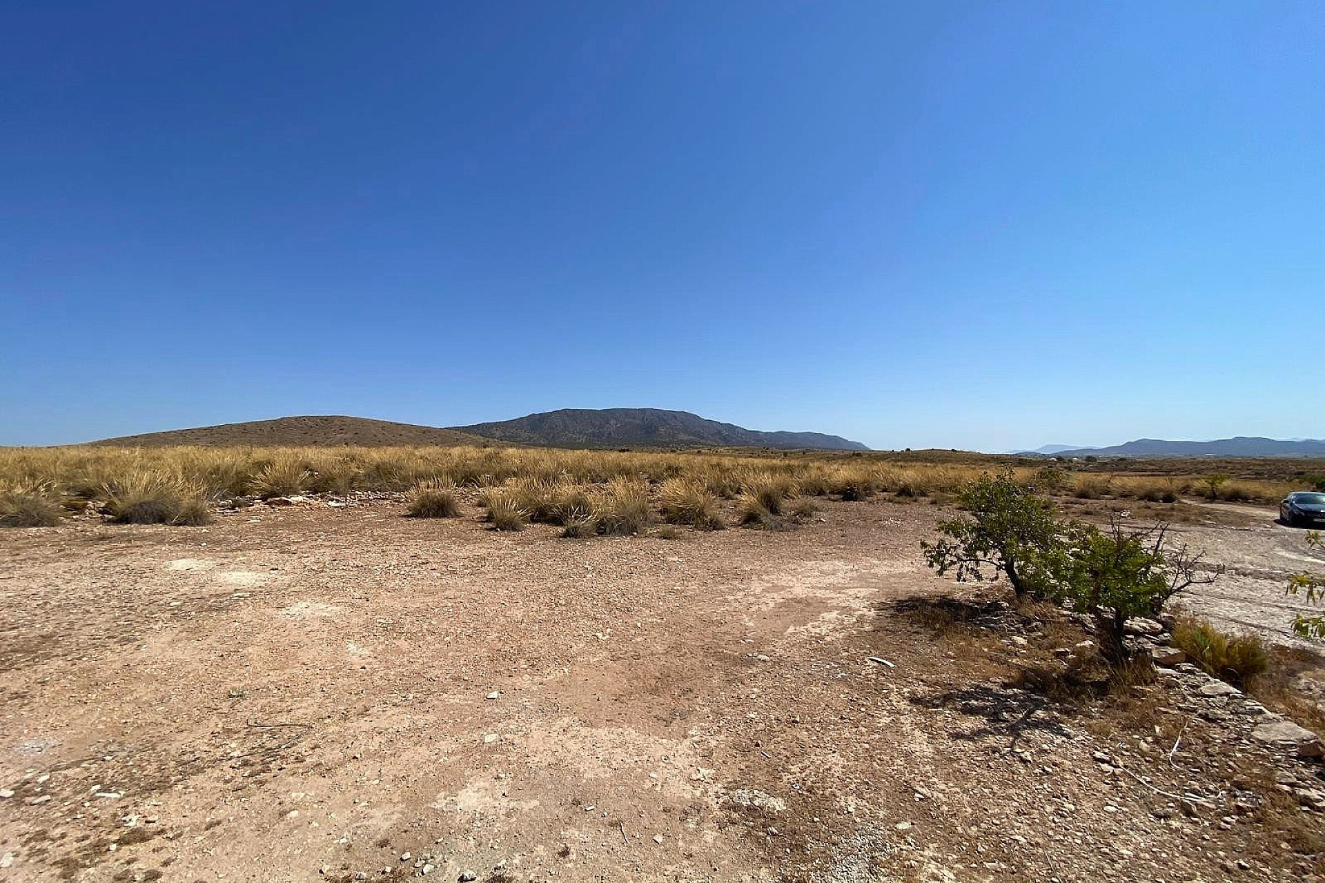 New Build - Villa -
Pinoso