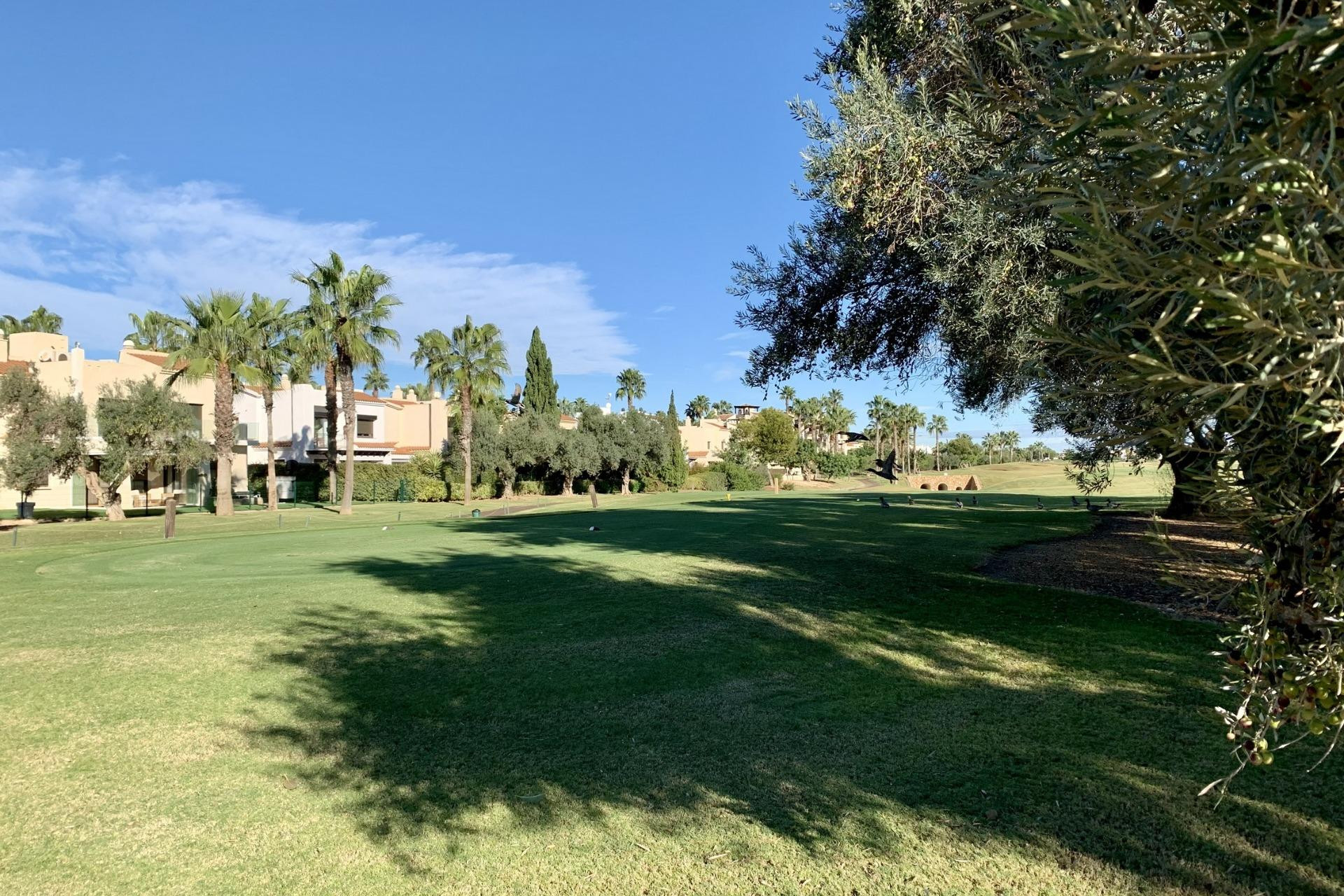 Nieuwbouw - Bungalow -
San Javier - Roda Golf