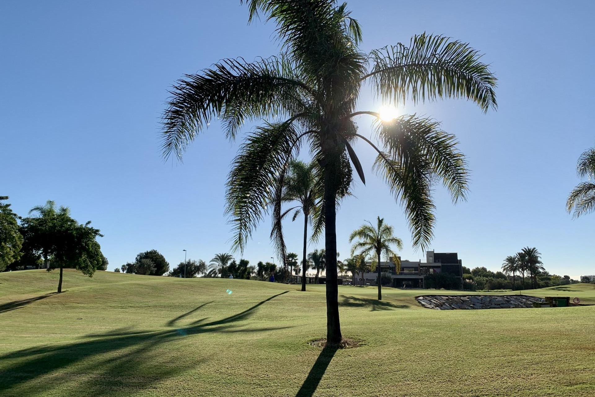 Nieuwbouw - Bungalow -
San Javier - Roda Golf