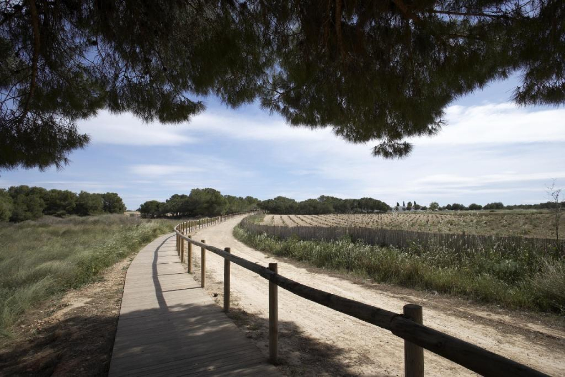 Nieuwbouw - Bungalow -
Torrevieja - Aguas Nuevas