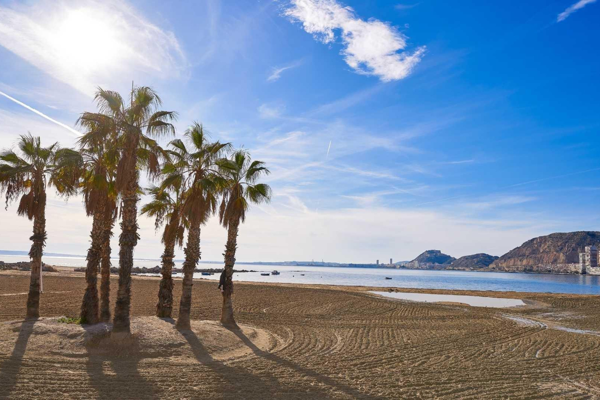 Nieuwbouw - Herenhuis -
Els Poblets - Partida Barranquets