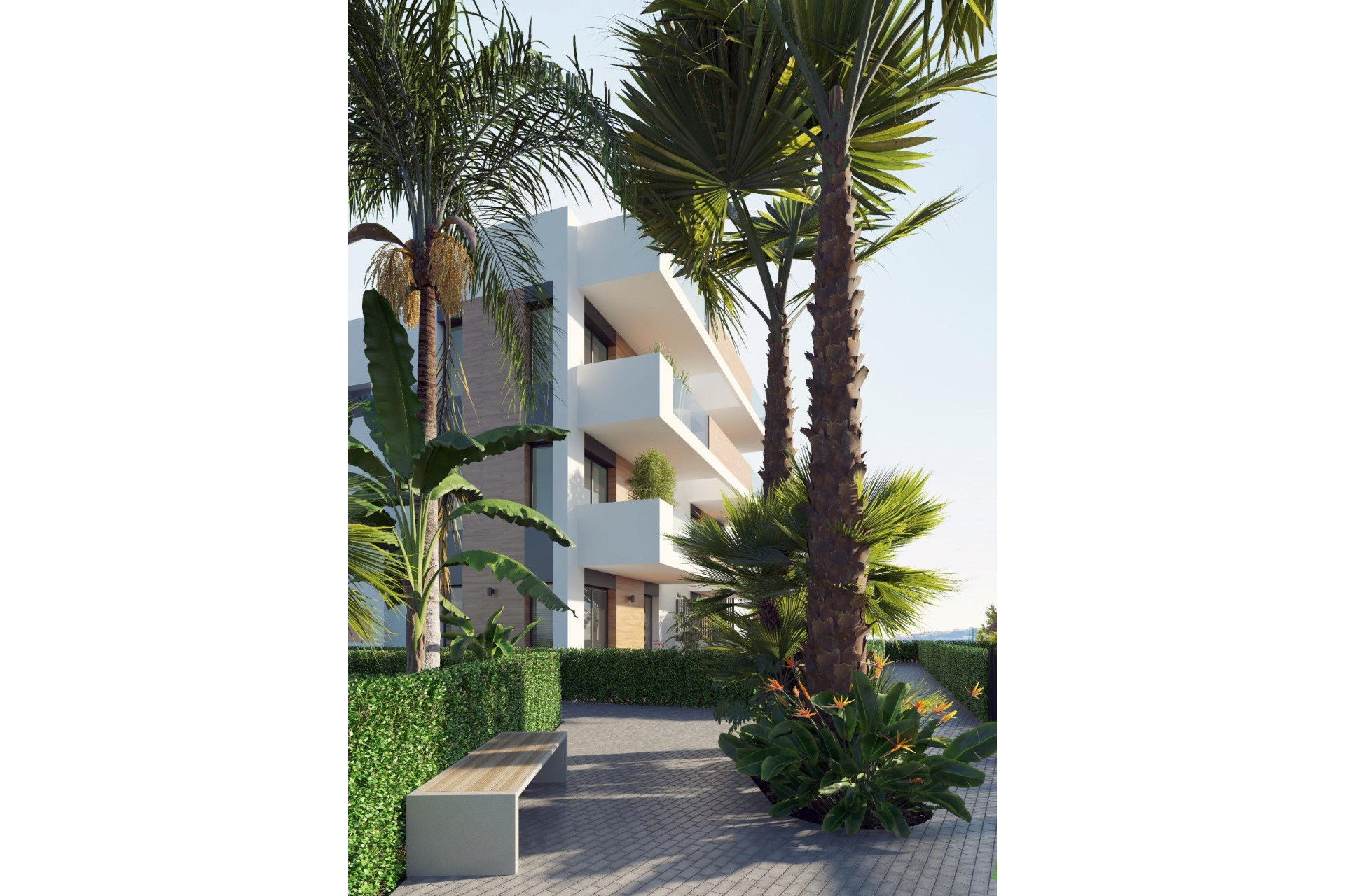 Nieuwbouw - Penthouse -
Los Alcazares - Serena Golf