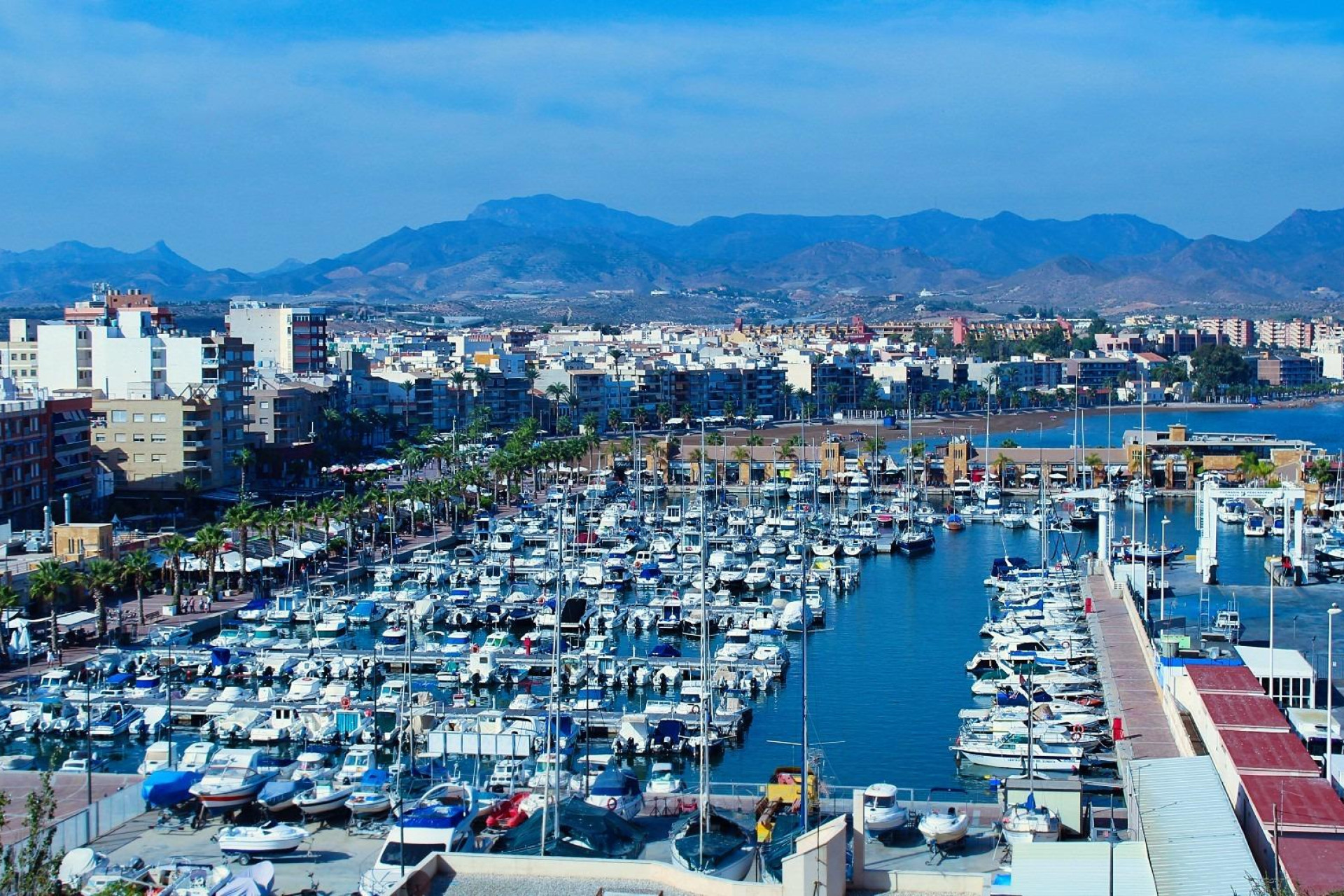 Nieuwbouw - Plat -
Fuente Álamo - La Pinilla