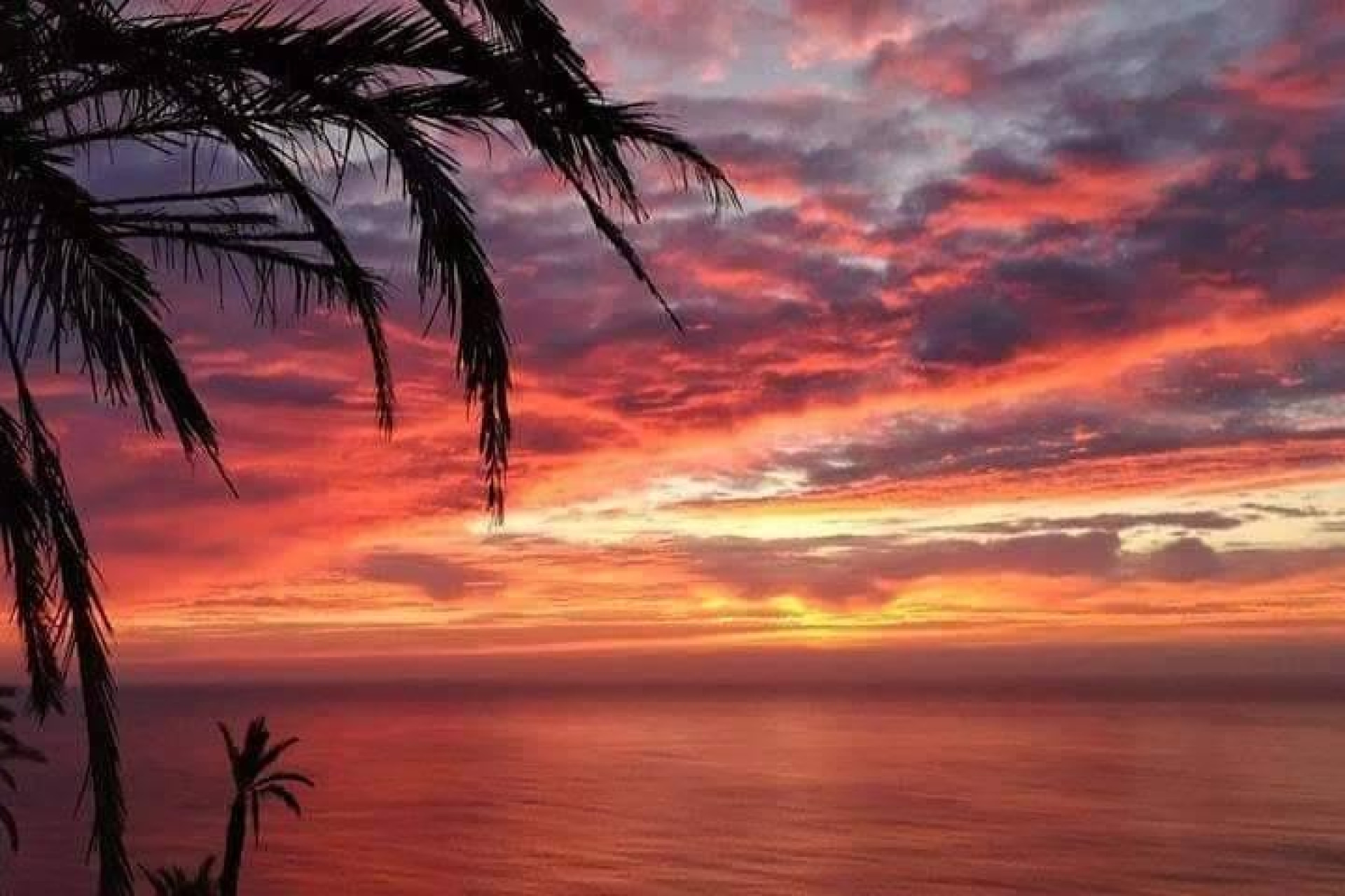 Nieuwbouw - Plat -
Torrevieja - Altos del Sol