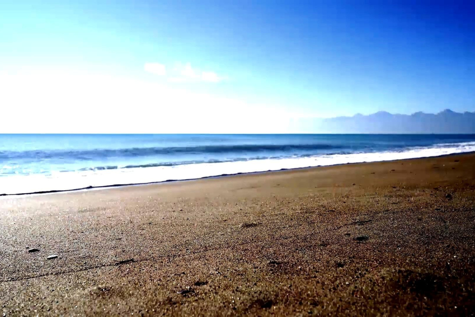 Nieuwbouw - studio -
Torrevieja - Centro