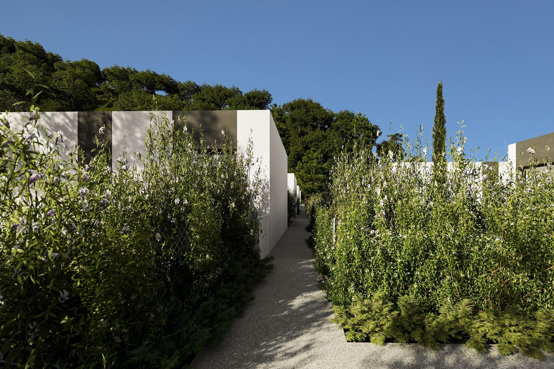 Nieuwbouw - Villa -
Alfas del Pí - Barranc Fondo