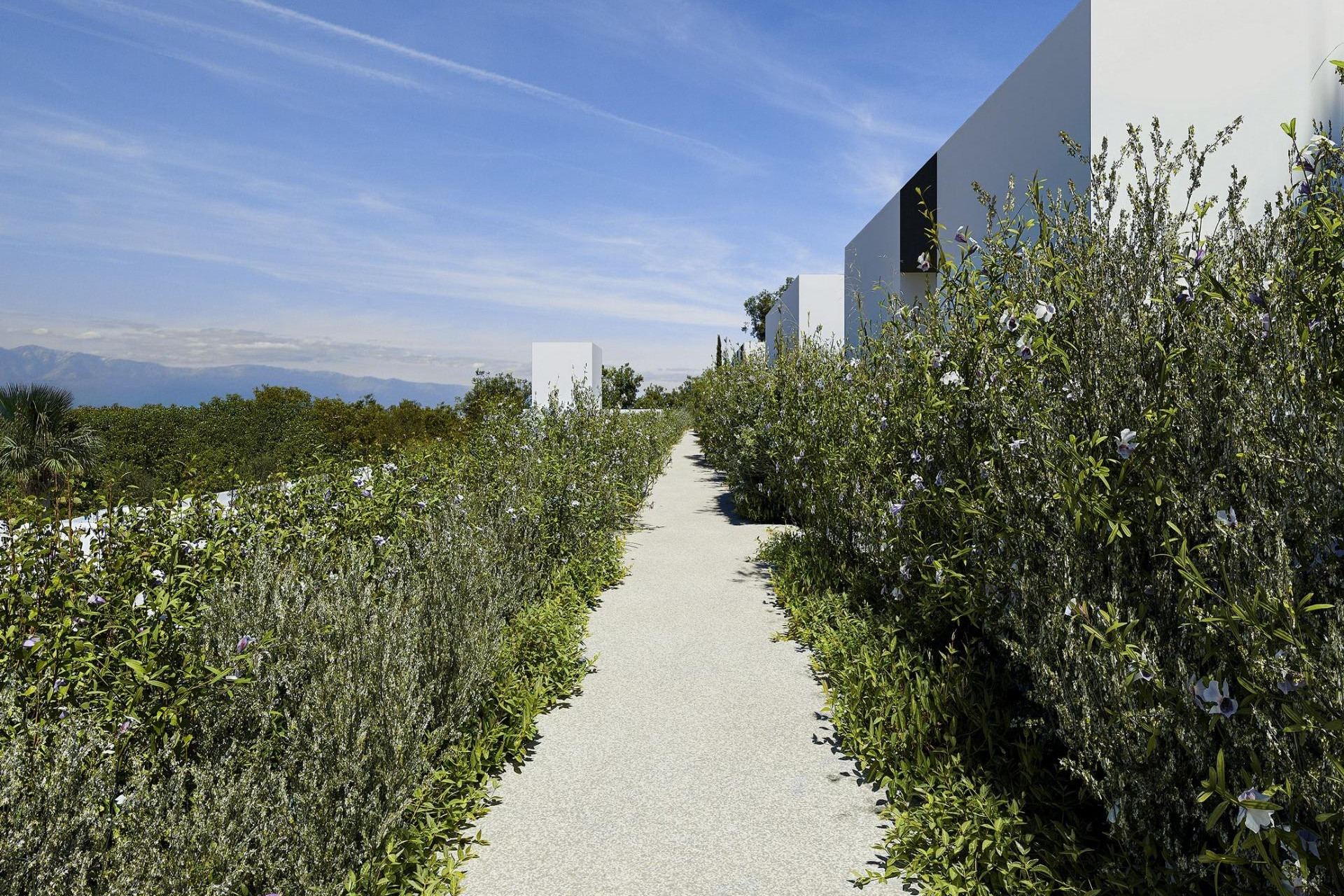 Nieuwbouw - Villa -
Alfas del Pí - Barranc Fondo