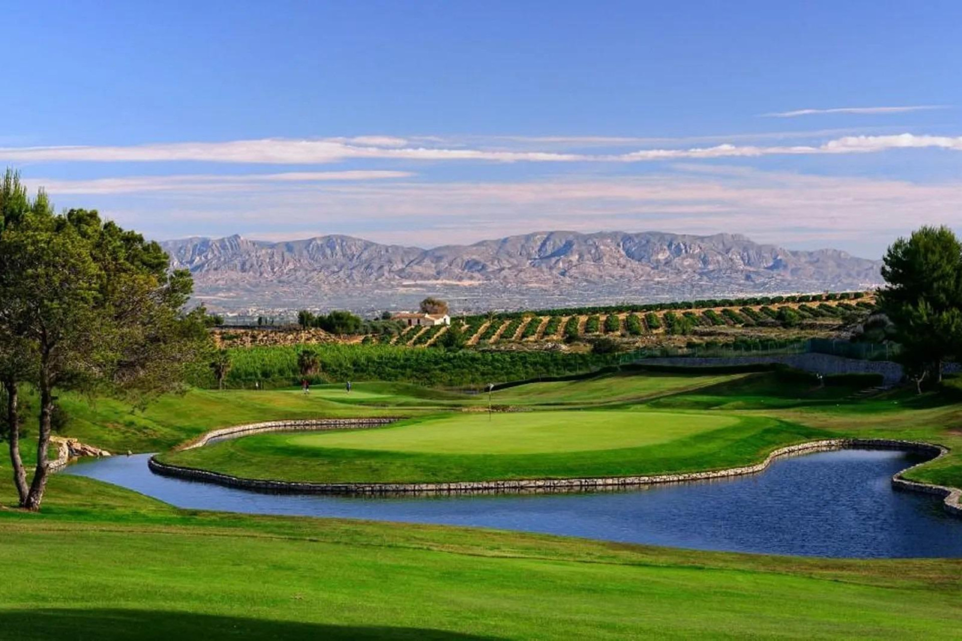 Nieuwbouw - Villa -
Algorfa - La Finca Golf