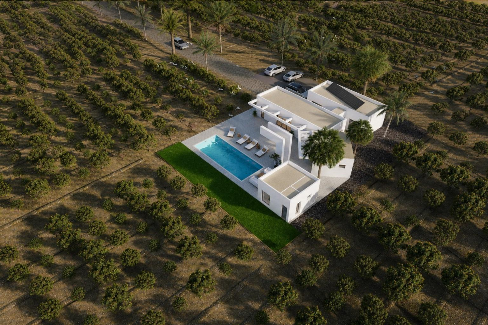Nieuwbouw - Villa -
Benejúzar - alta