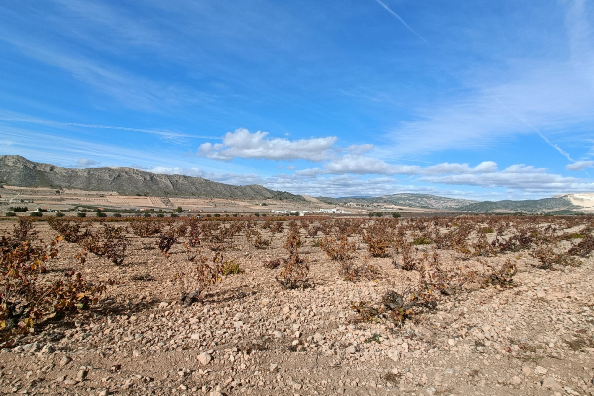 Nieuwbouw - Villa -
Canada De La Lena