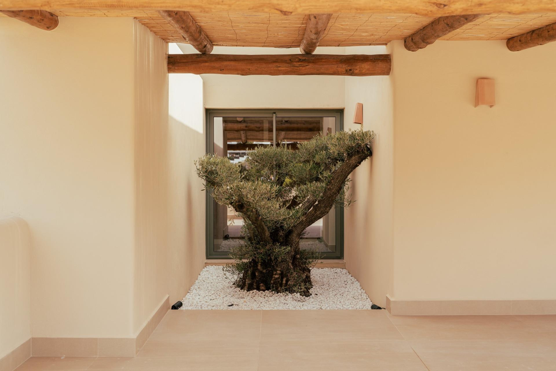 Nieuwbouw - Villa -
Jávea - Valle del Sol