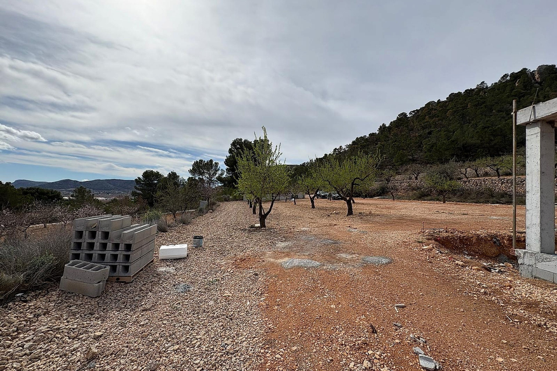 Nieuwbouw - Villa -
La Romana