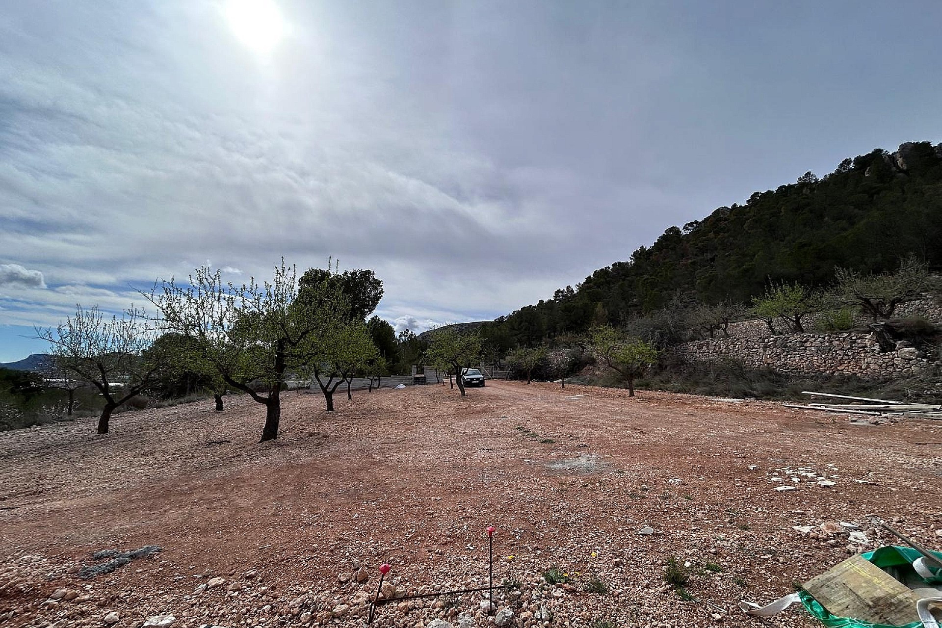 Nieuwbouw - Villa -
La Romana