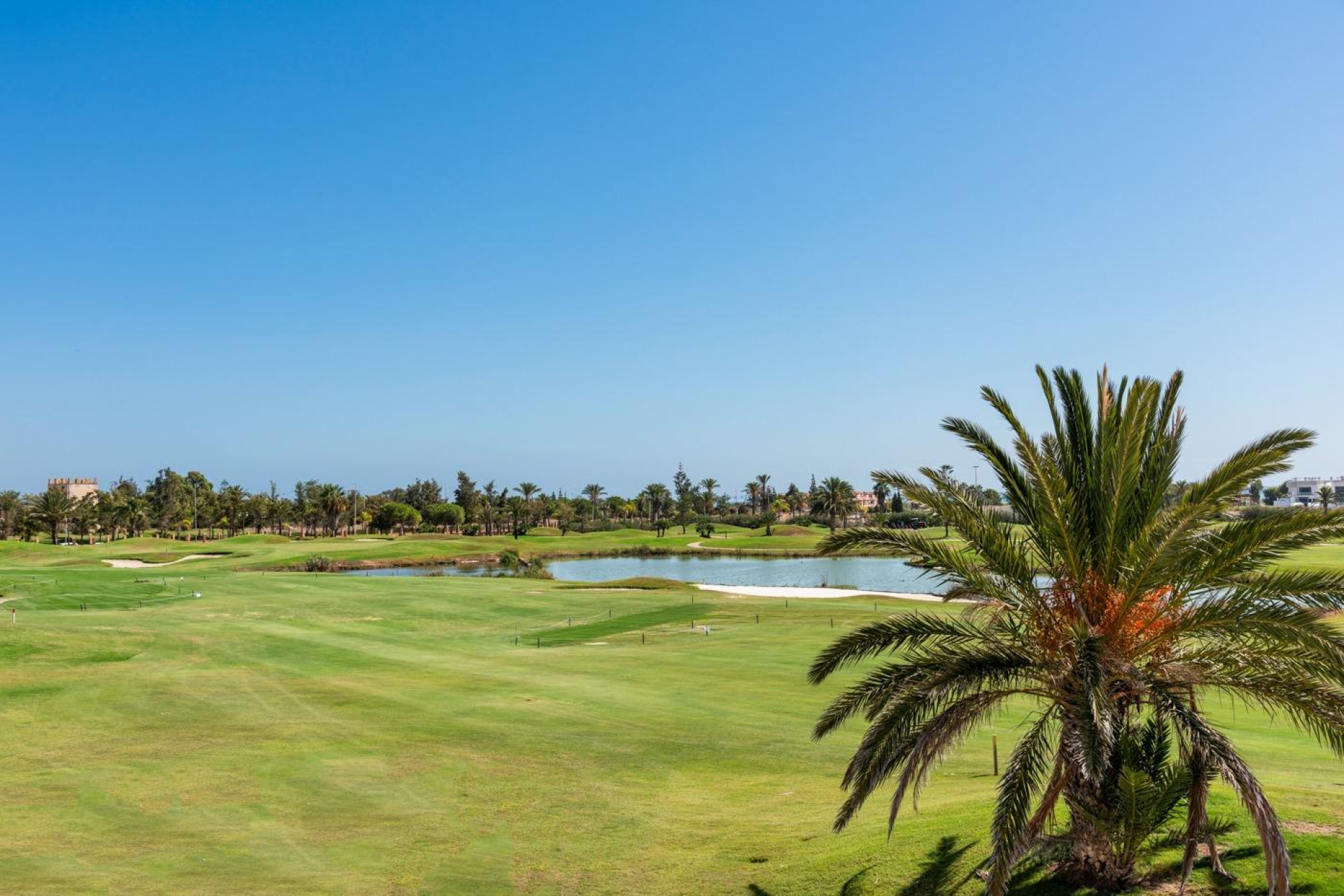 Nieuwbouw - Villa -
Los Alcazares - Serena Golf
