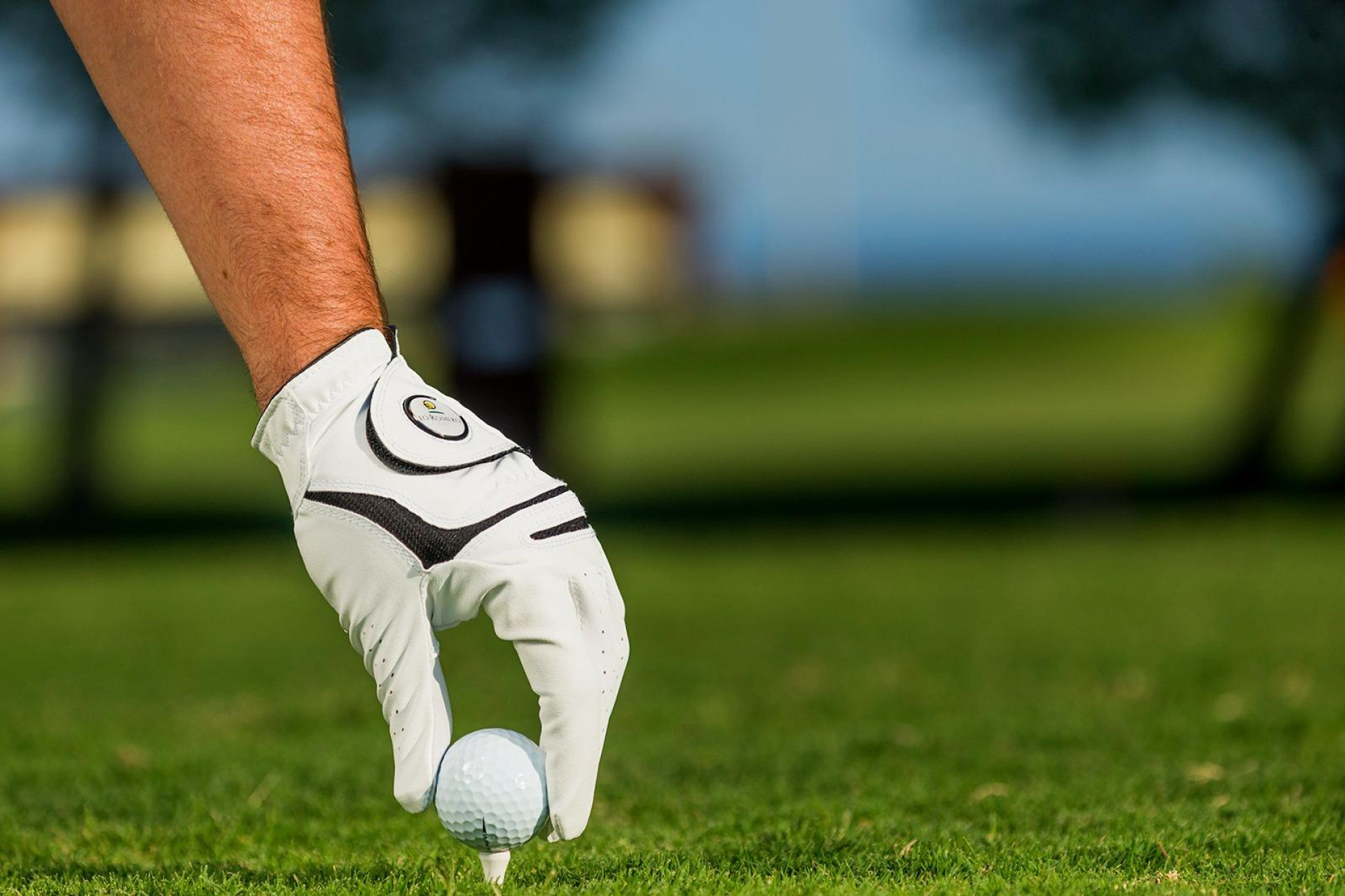 Nieuwbouw - Villa -
Pilar de la Horadada - Lo Romero Golf