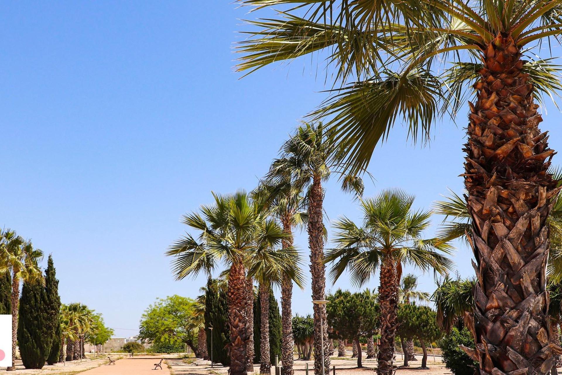 Nieuwbouw - Villa -
San Fulgencio - La Escuera